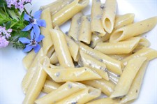 penne with creamy gorgonzola and sage